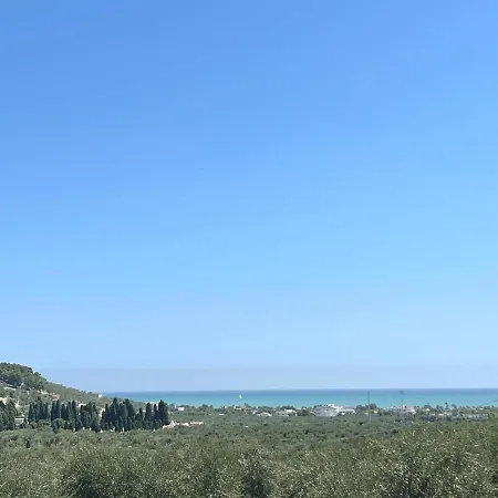 Le Fronde Vieste
