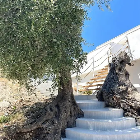 Alloggio per agriturismo Le Fronde