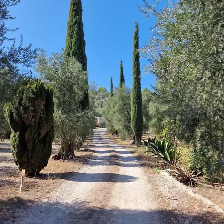 Le Fronde Farm stay