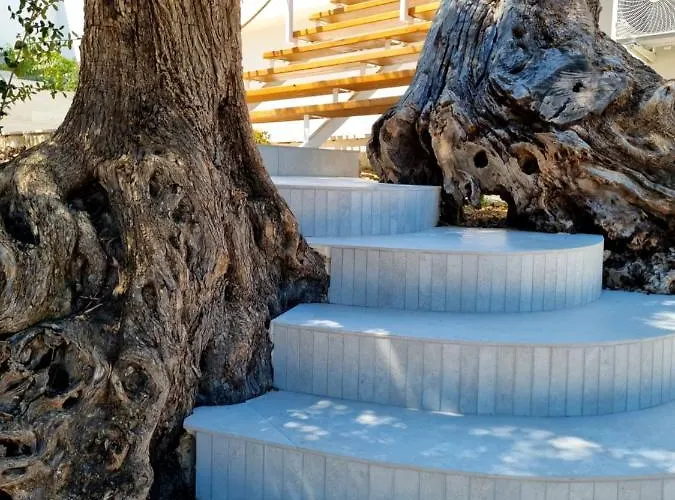 Le Fronde * ויאסטה